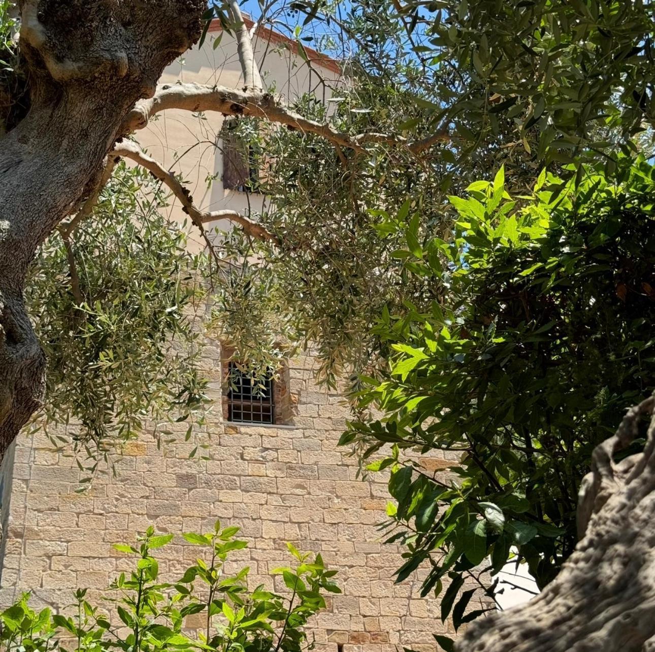 Madonna Del Poggio Cav Aparthotel Scarlino Kültér fotó