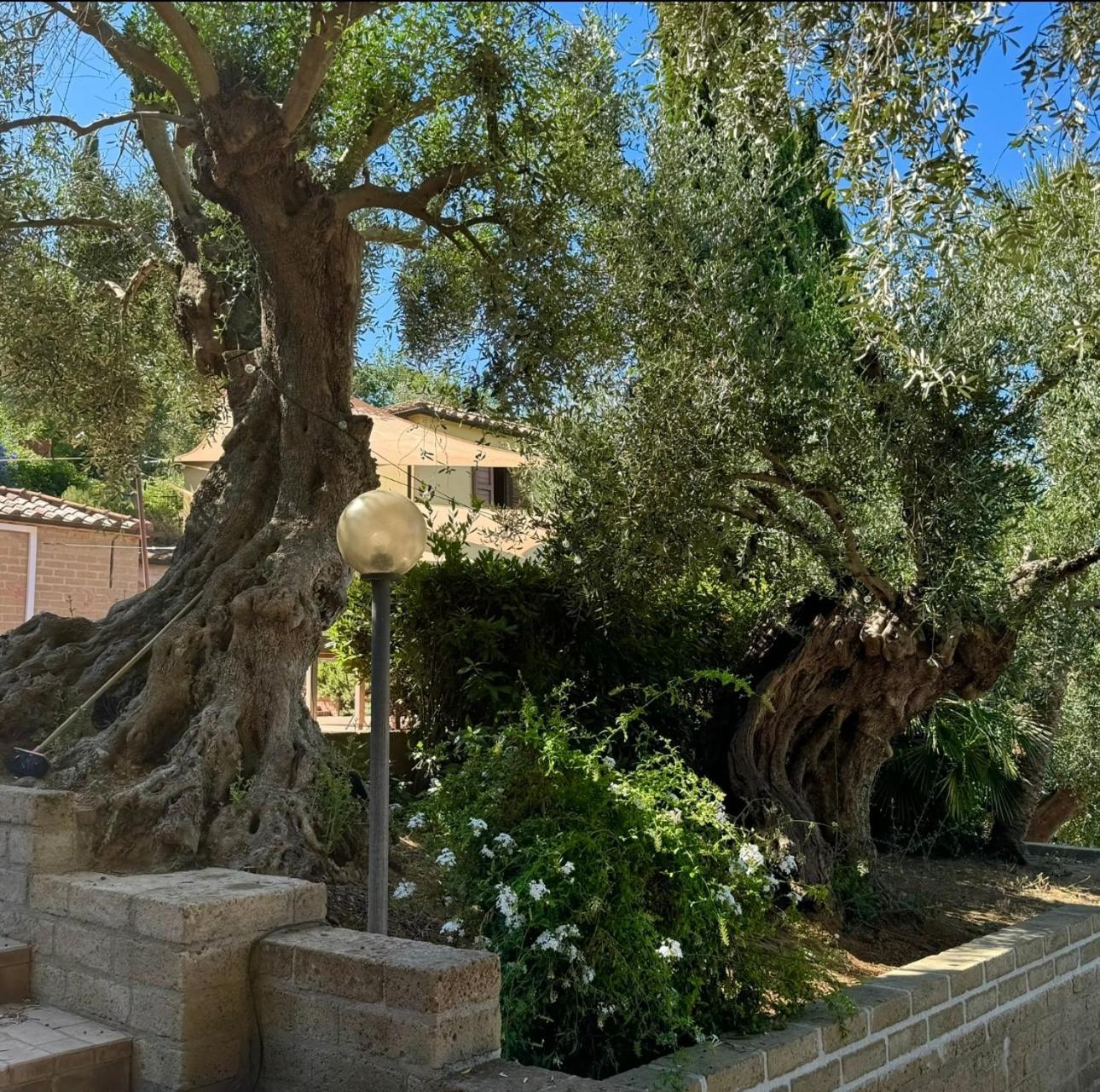 Madonna Del Poggio Cav Aparthotel Scarlino Kültér fotó
