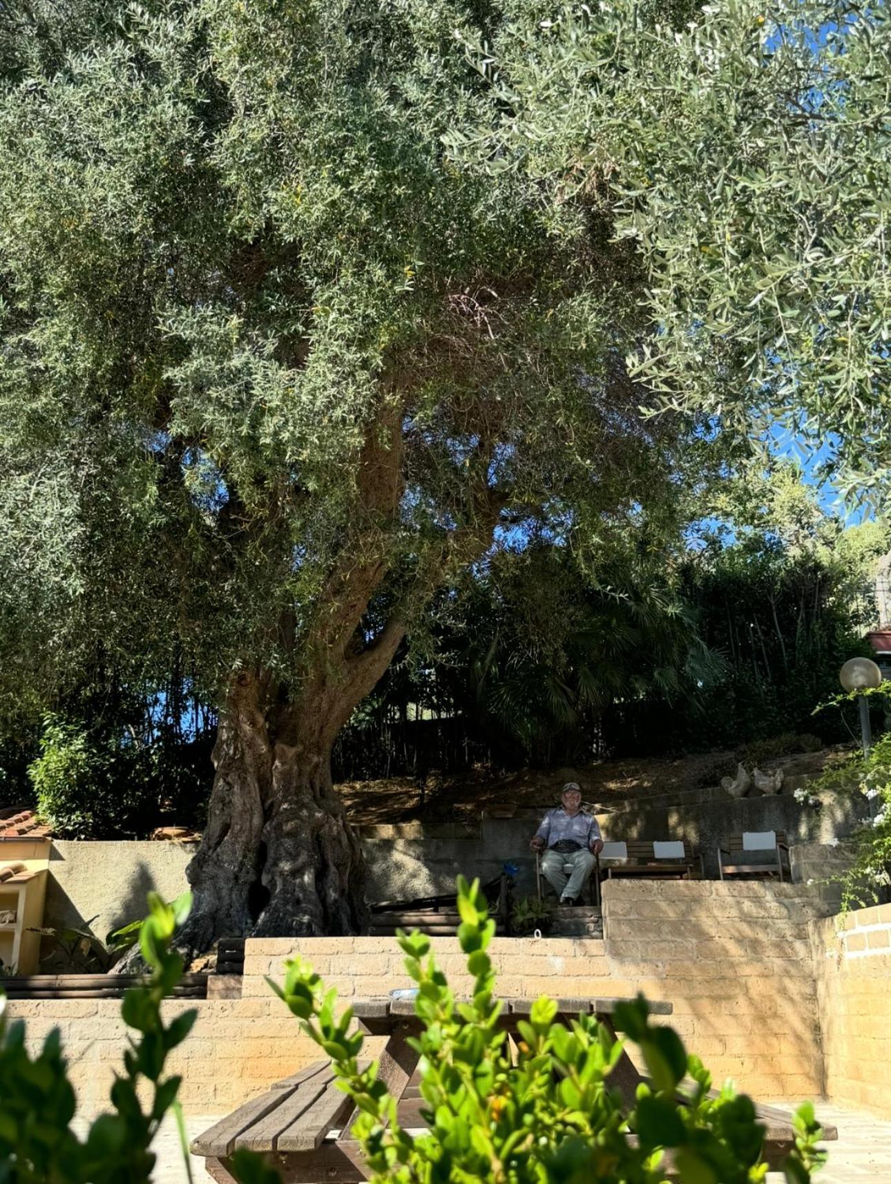 Madonna Del Poggio Cav Aparthotel Scarlino Kültér fotó